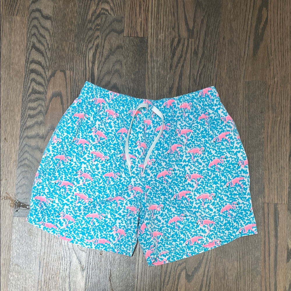 Chubbies Aqua and Pink Swim Trunks